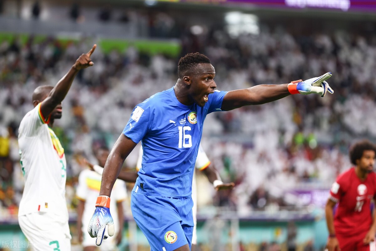 非洲男子篮球冠军塞内加尔揭幕战大胜 非洲男子篮球冠军塞内加尔揭幕战大胜