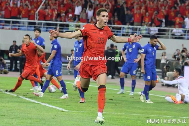 波兰队不敌爱尔兰,晋级形势变得岌岌可危 波兰队不敌爱尔兰,晋级形势变得岌岌可危