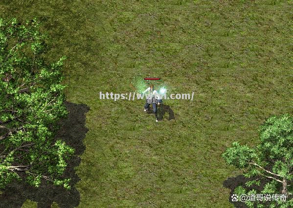 绝世神技:女足传奇巨星高歌凯旋 绝世神技:女足传奇巨星高歌凯旋