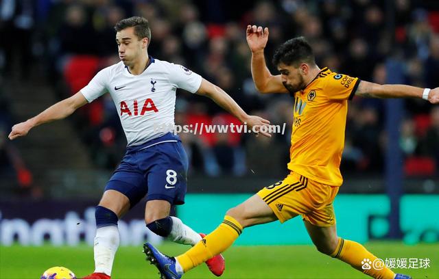 南安普顿战平狼队,完成保级壮举 南安普顿战平狼队,完成保级壮举