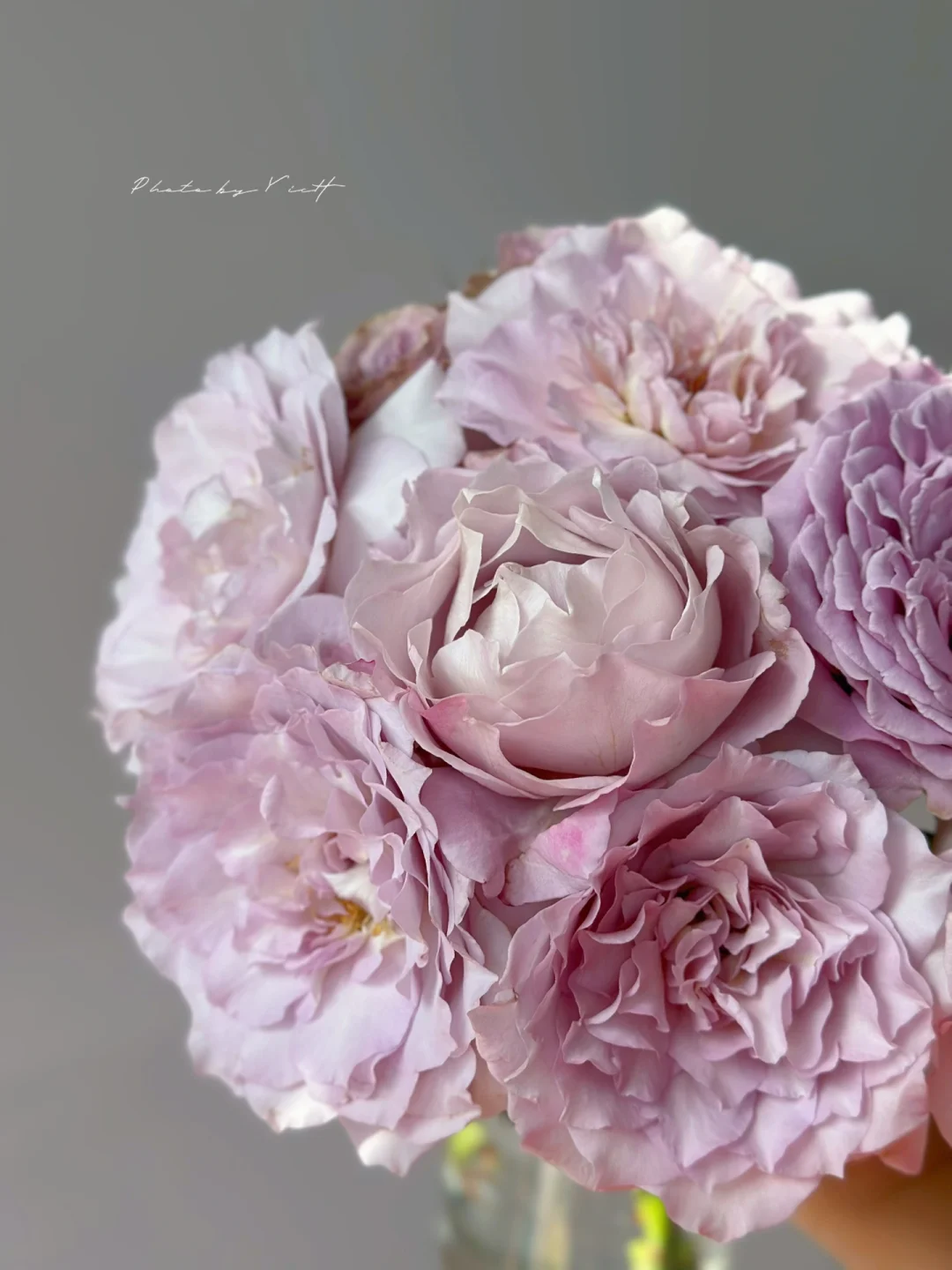 希花荷列主场击败对手,重现胜利 希花荷列主场击败对手,重现胜利