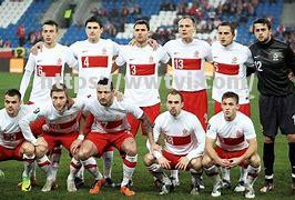 比利时、波兰坚韧不拔,欧洲国家队展开正面交锋 比利时、波兰坚韧不拔,欧洲国家队展开正面交锋