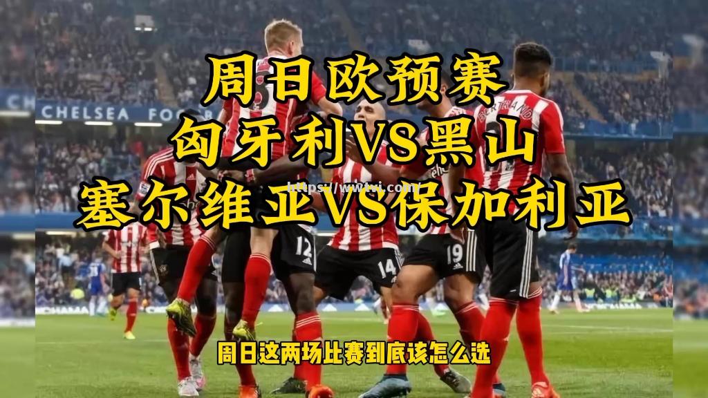 瑞士客场挑战保加利亚,争夺欧预赛胜利 瑞士客场挑战保加利亚,争夺欧预赛胜利