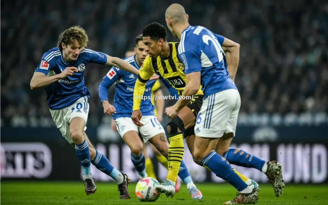 沙尔克主场不敌对手,德甲保级压力重重 沙尔克主场不敌对手,德甲保级压力重重