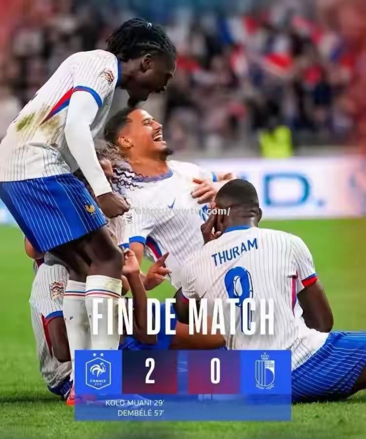 法国队大胜比利时,锁定欧洲杯资格 法国队大胜比利时,锁定欧洲杯资格