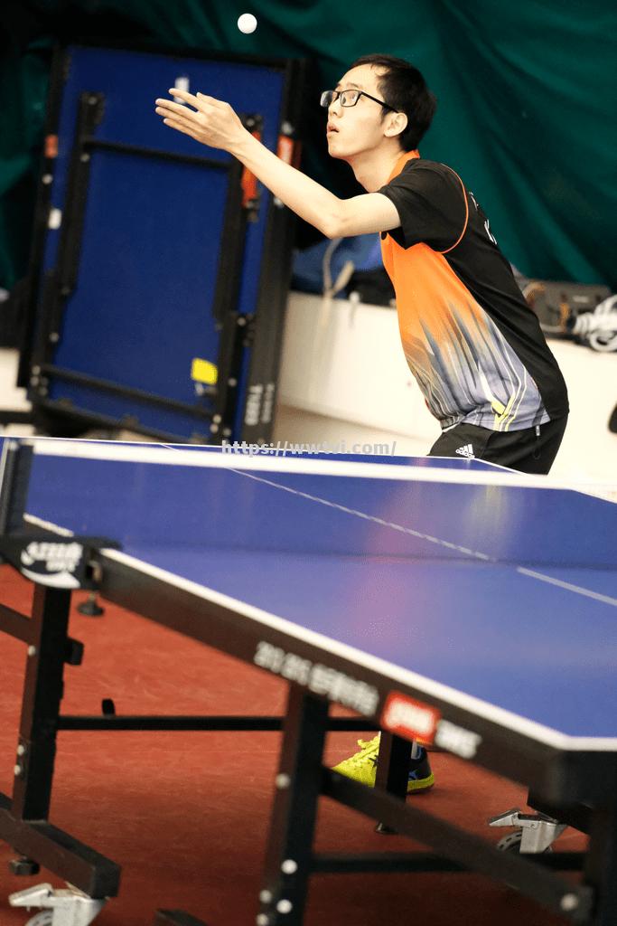 巅峰瞬间:顶级运动员在赛场上绽放 巅峰瞬间:顶级运动员在赛场上绽放