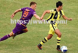 斯泰珀莱尼队球员状态回暖,冲劲全程夺冠 斯泰珀莱尼队球员状态回暖,冲劲全程夺冠